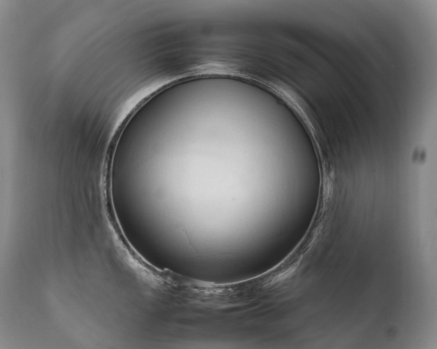 X0000111951149200907271431