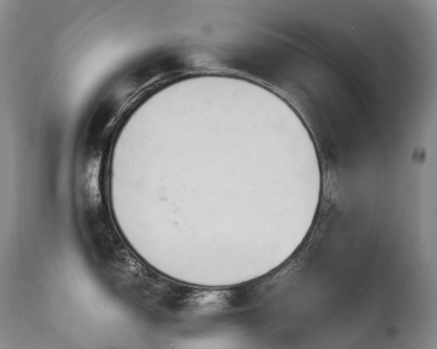 X0000111951150200907271431