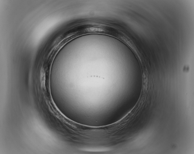 X0000111951151200907271431