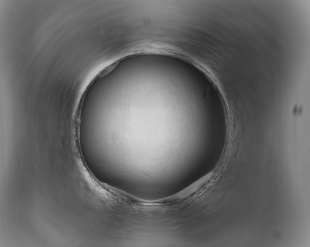 X0000111951152200907271431