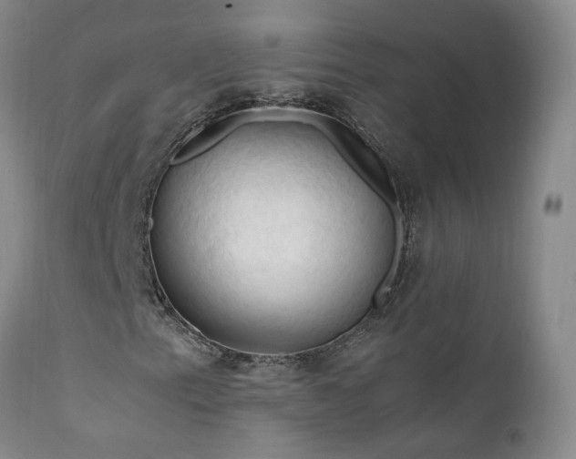 X0000111951153200907271430
