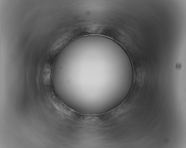 X0000111951154200907271430