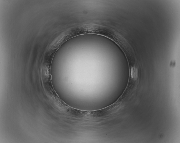 X0000111951155200907271430