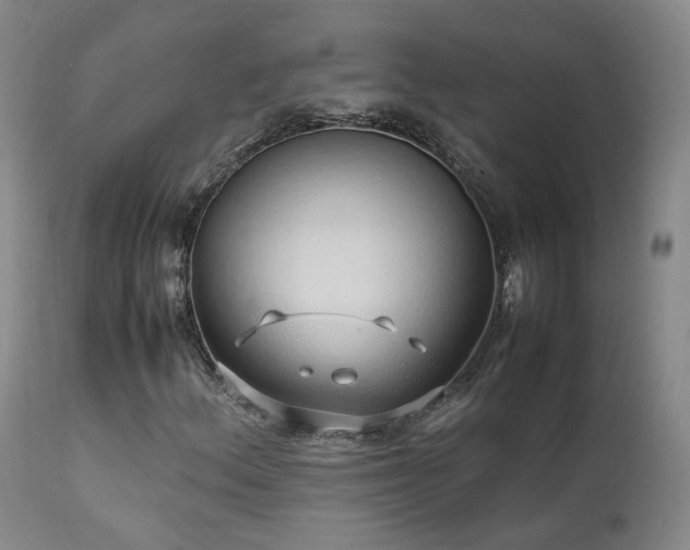 X0000111951156200907271430