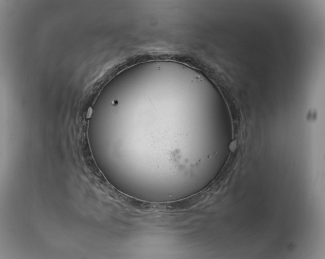 X0000111951157200907271430