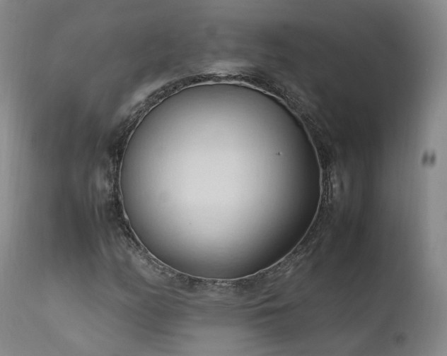 X0000111951158200907271430