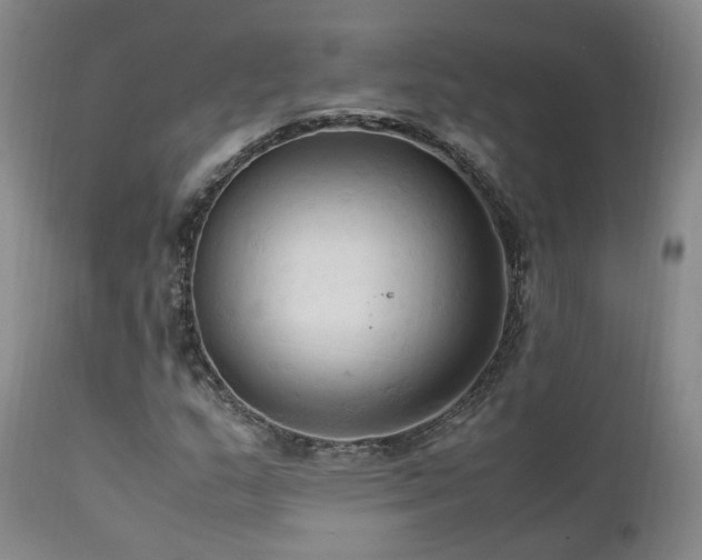 X0000111951159200907271430
