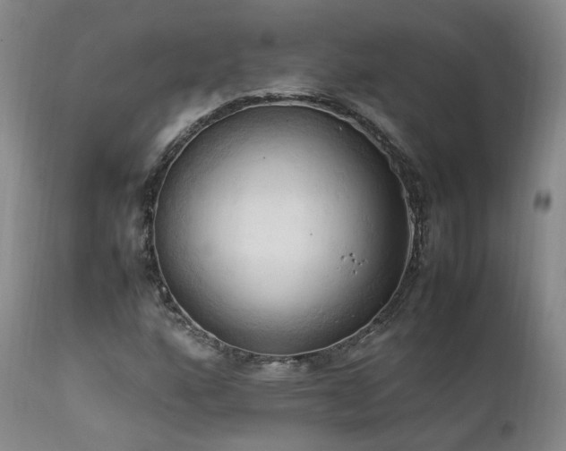 X0000111951160200907271430