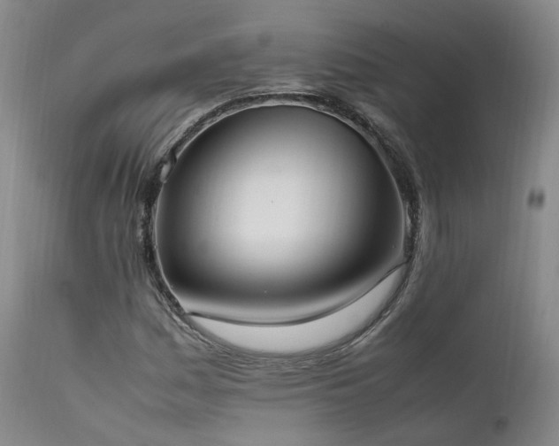 X0000111951161200907271430