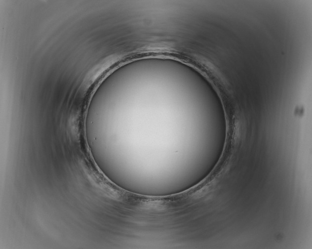 X0000111951162200907271430