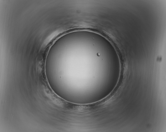 X0000111951163200907271430