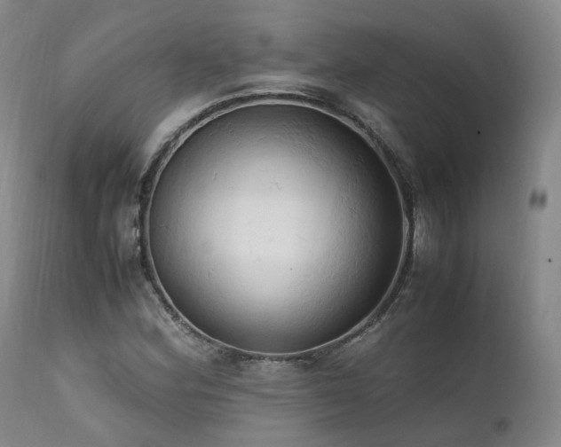 X0000111951164200907271430