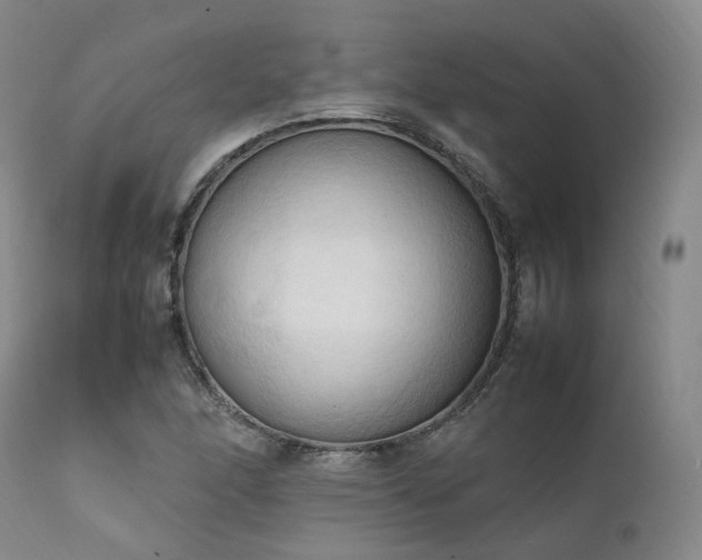 X0000111951166200907271430