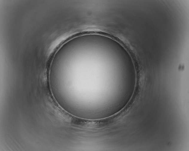 X0000111951167200907271430