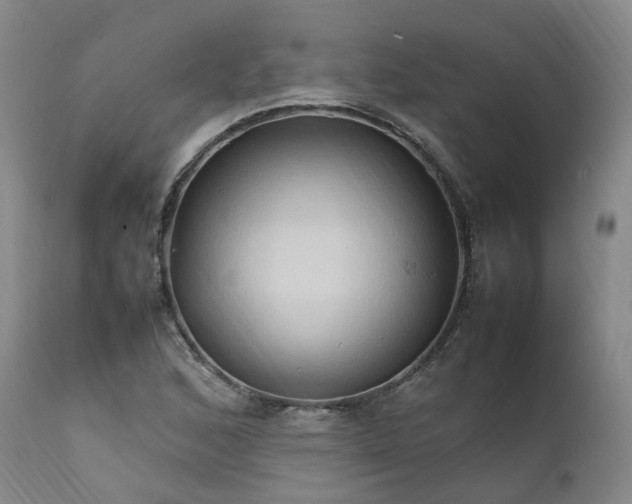 X0000111951168200907271430