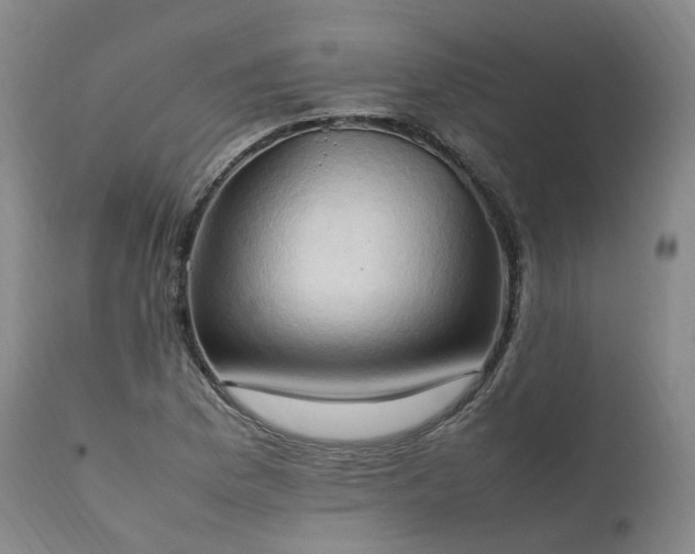 X0000111951169200907271430