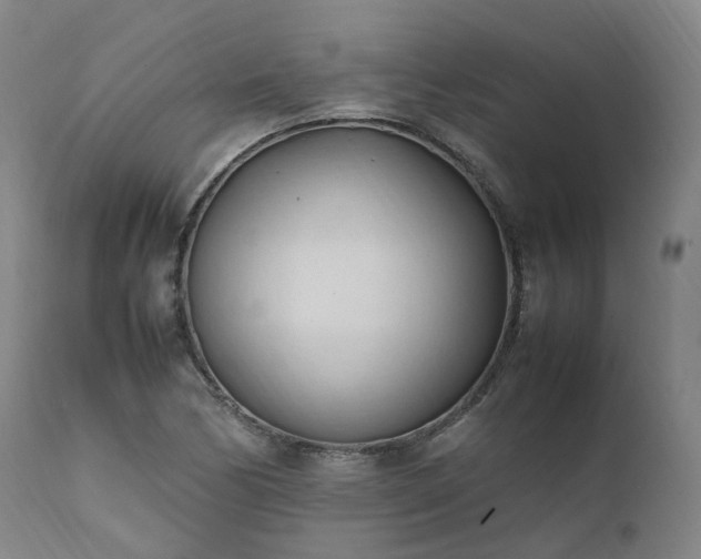 X0000111951170200907271430
