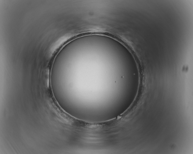 X0000111951171200907271430