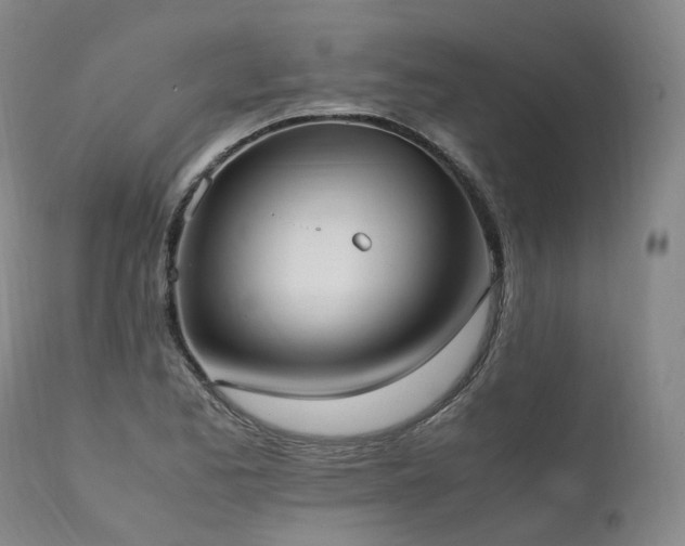 X0000111951173200907271430
