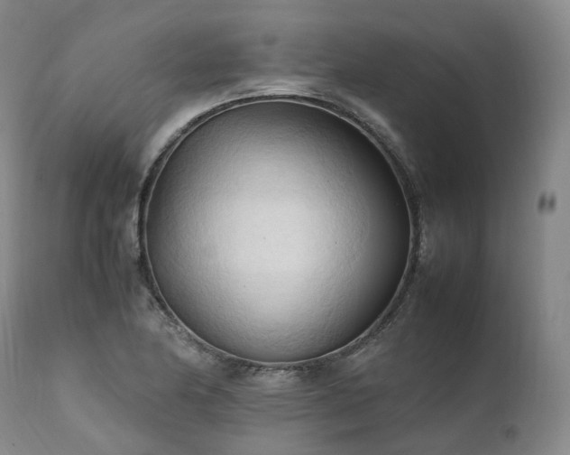 X0000111951174200907271430