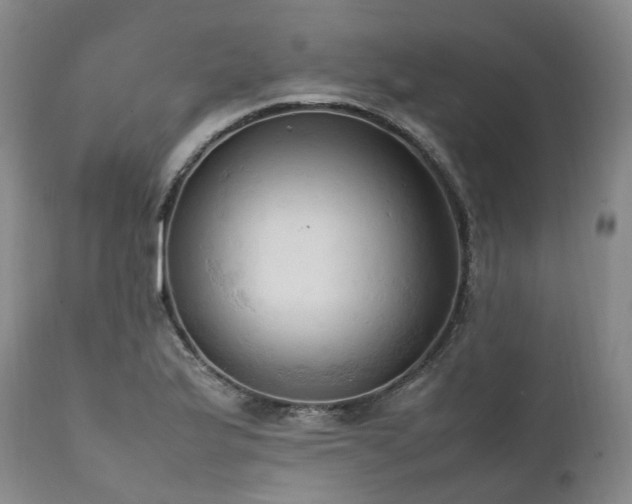 X0000111951175200907271430