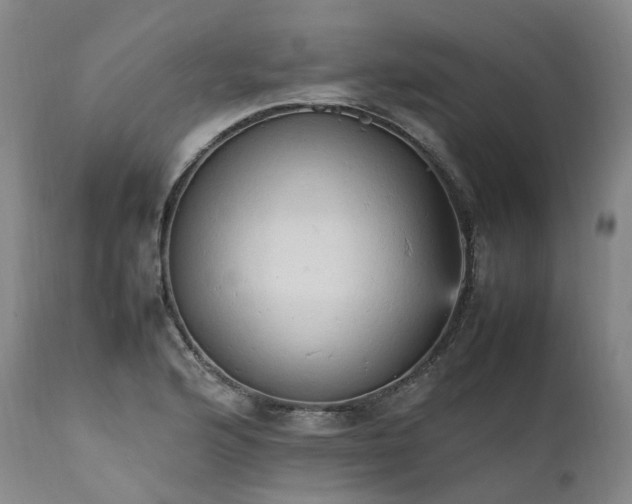 X0000111951176200907271430
