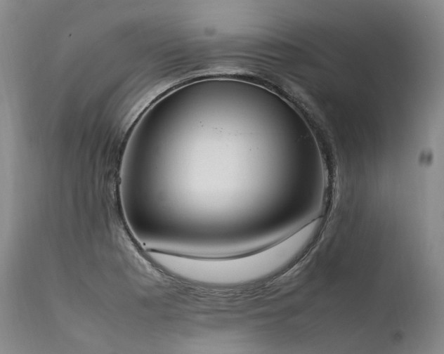 X0000111951177200907271429