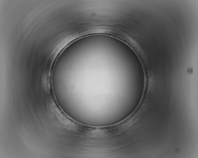 X0000111951178200907271429