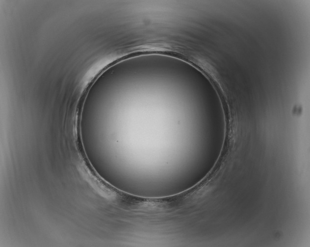 X0000111951179200907271429