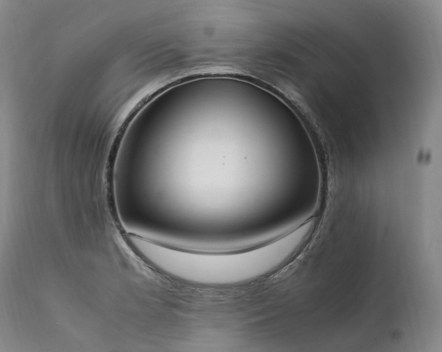 X0000111951181200907271429
