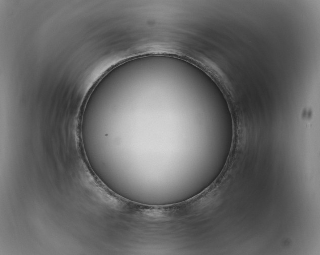 X0000111951182200907271429
