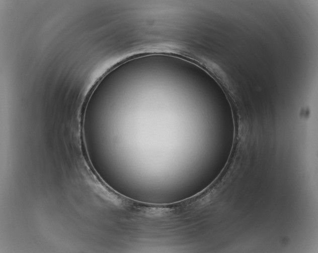 X0000111951184200907271429