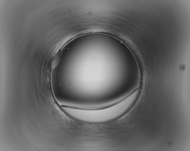 X0000111951185200907271429