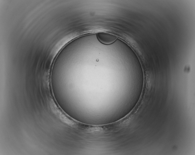 X0000111951186200907271429