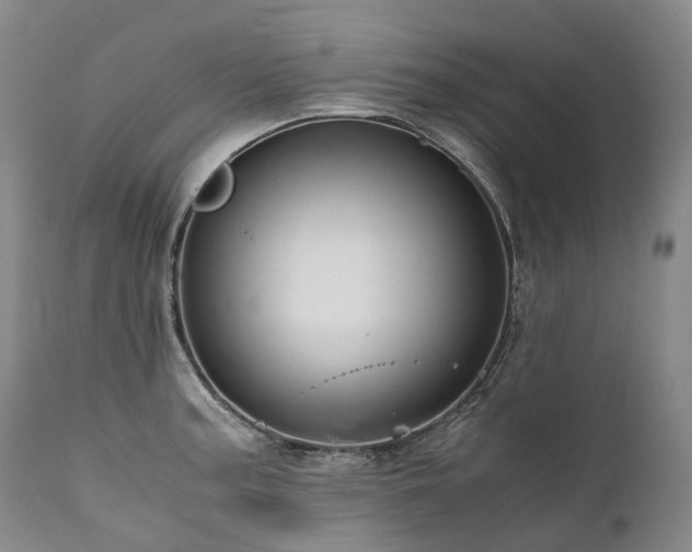 X0000111951187200907271429