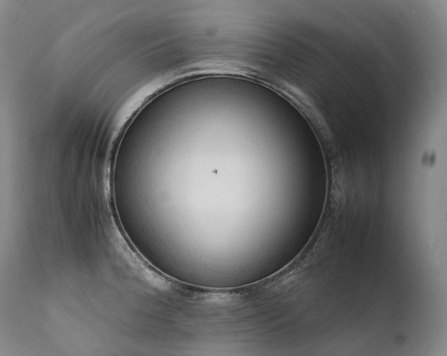 X0000111951188200907271429