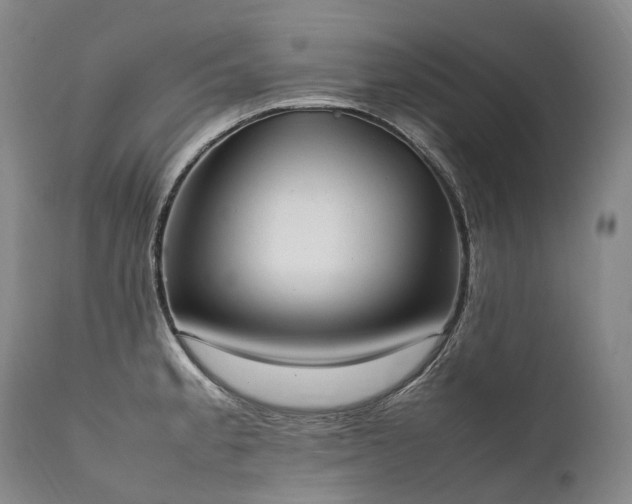 X0000111951189200907271429