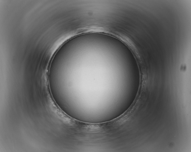 X0000111951190200907271429