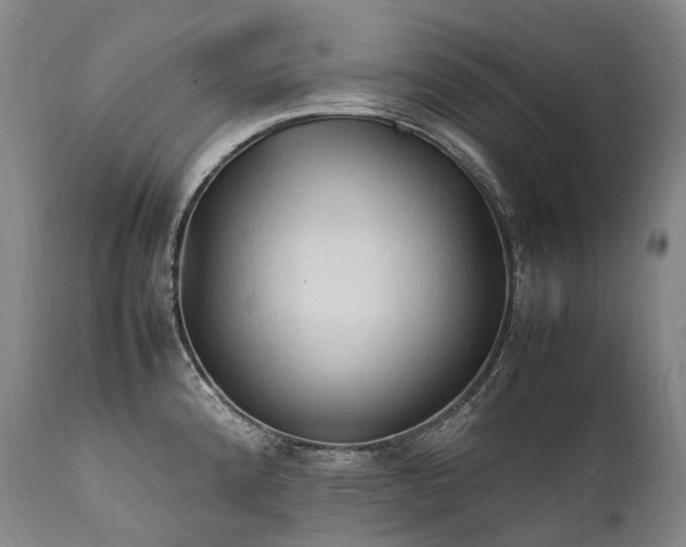 X0000111951192200907271429