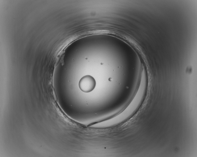 X0000111951193200907271429