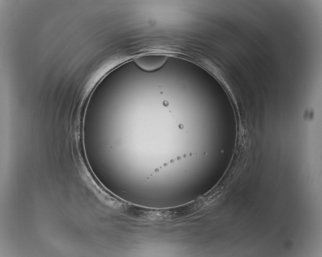 X0000111951195200907271429