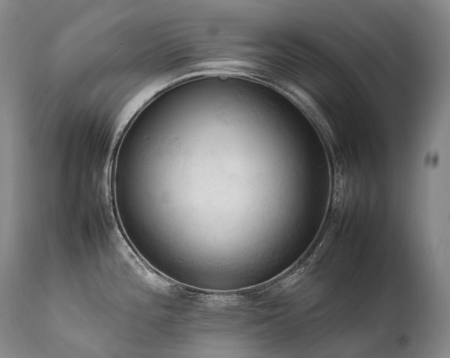 X0000111951196200907271429