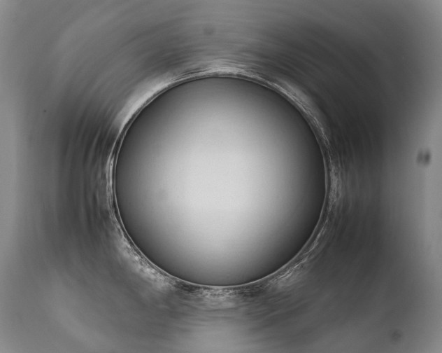 X0000111951198200907271429