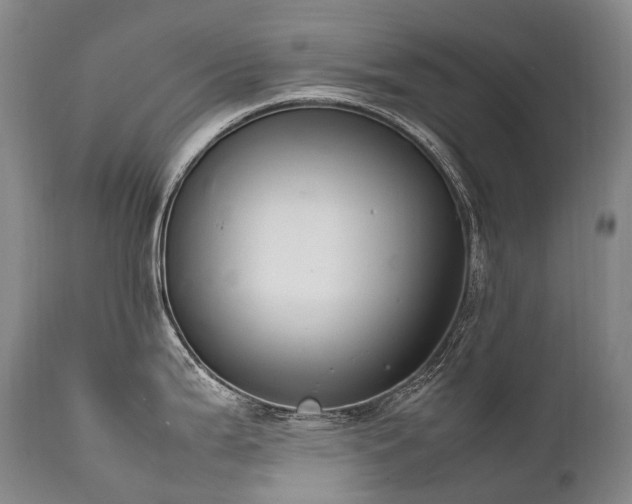 X0000111951199200907271429