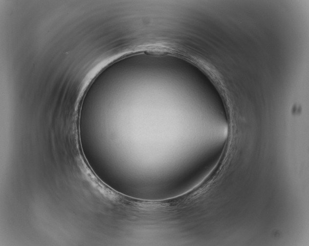 X0000111951200200907271429