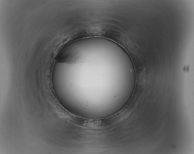 X0000111951201200907271429