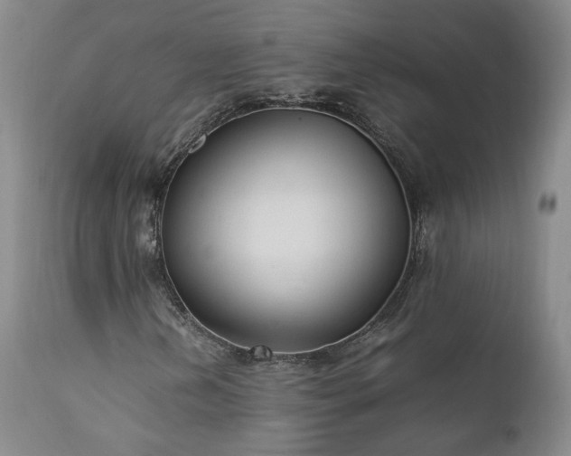 X0000111951202200907271429