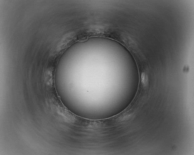 X0000111951203200907271429
