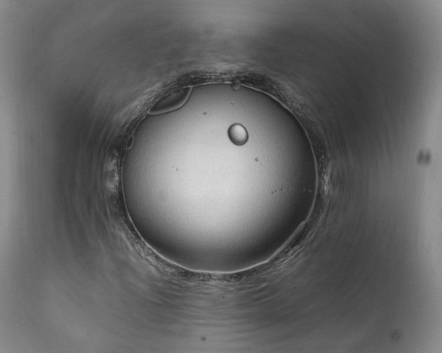 X0000111951204200907271429