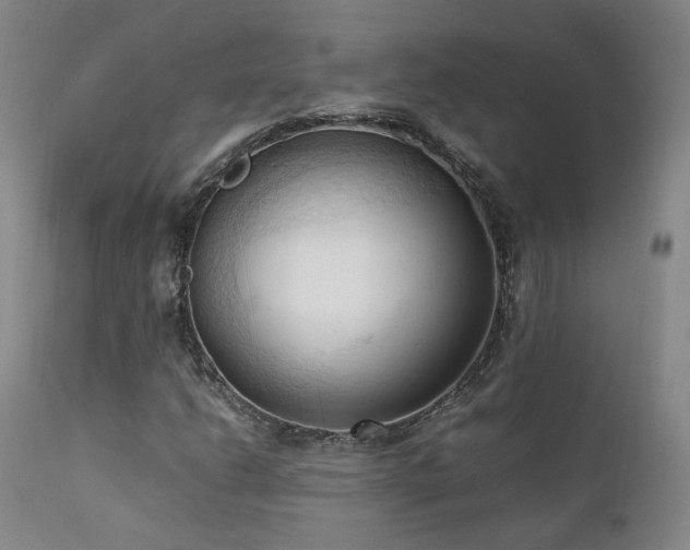 X0000111951206200907271429